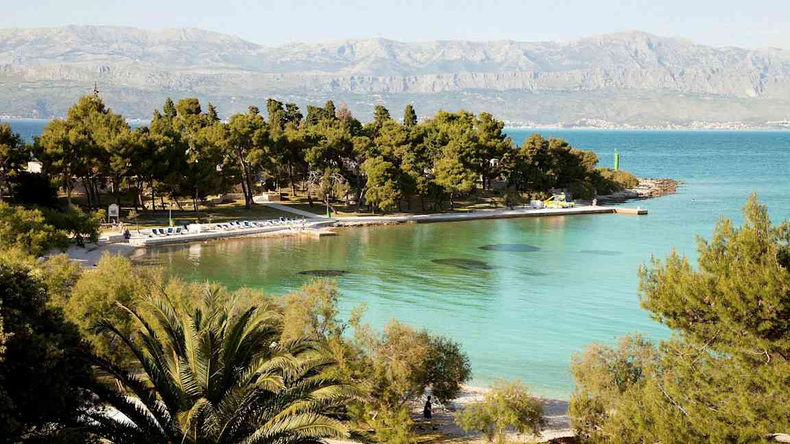 Utsikt over en strand med turkis vann og furutrær. (AI-generert tekst)