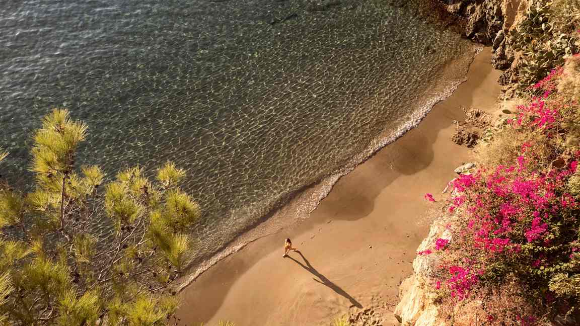 Utsikt over en liten strand med klart vann, sand og en person som går. Fargerike blomster og planter er synlige langs stranden. (AI-generert tekst)