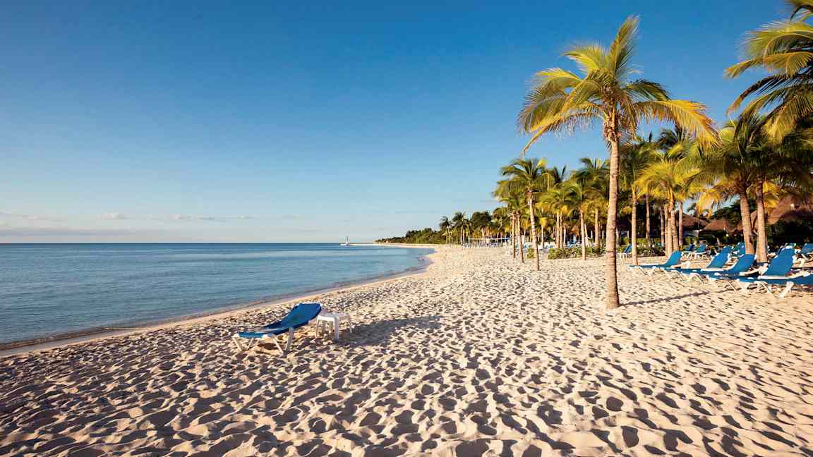 Sandstrand med solsenger og palmer ved sjøen. (AI-generert tekst)