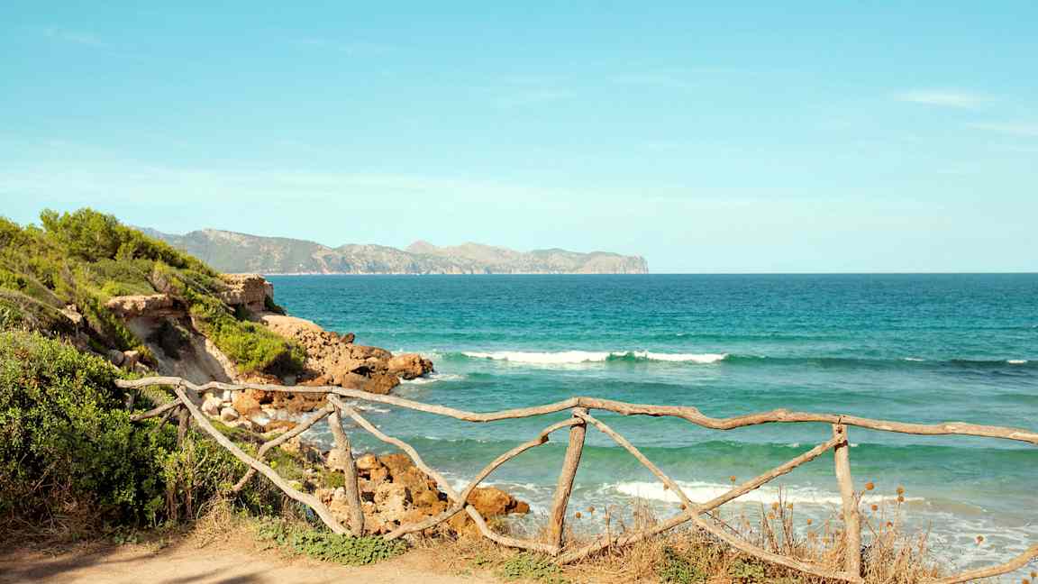 Strand med tregjerde og hav i bakgrunnen. (AI-generert tekst)