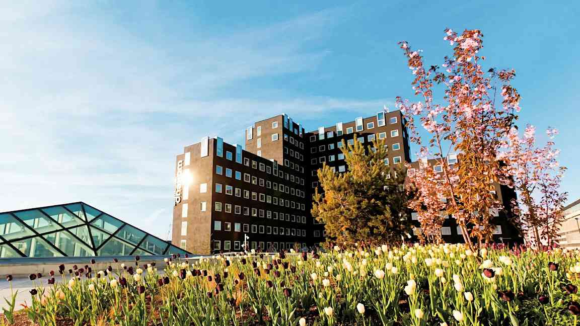 En bygning med mange vinduer, omgitt av grønt område med blomstrende tulipaner og trær. (AI-generert tekst)