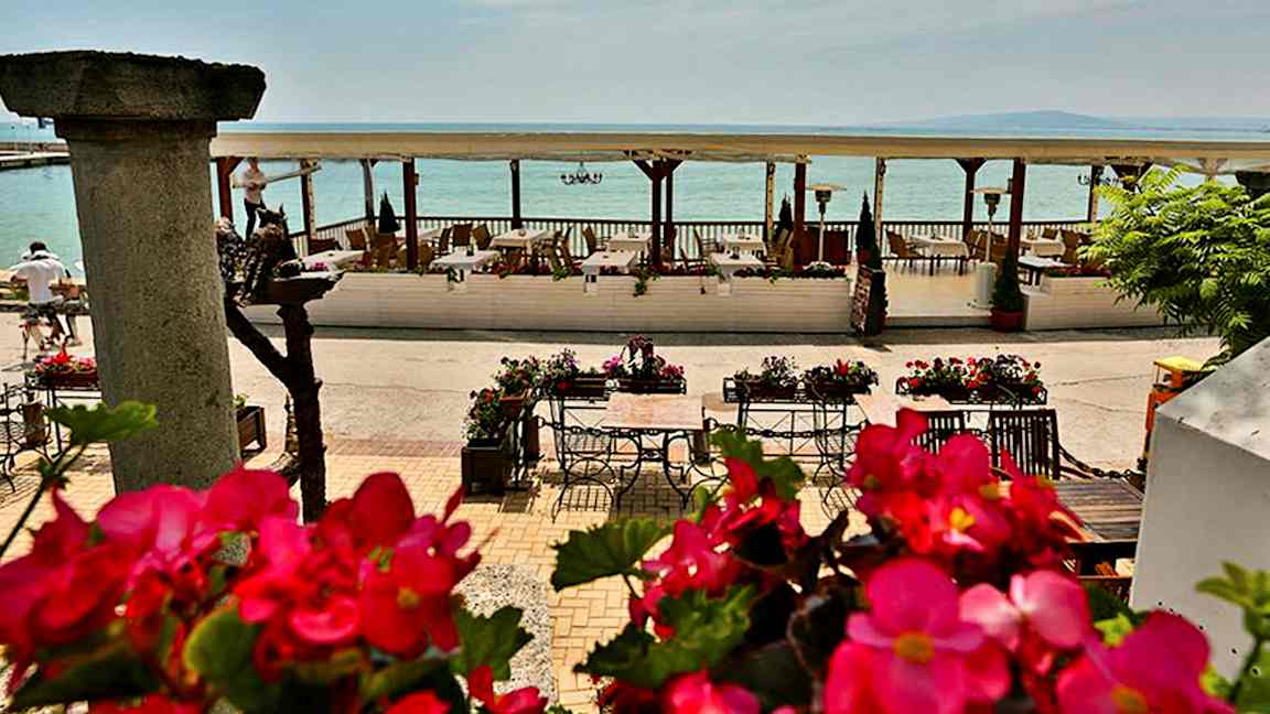 En strandnær terrasse med bord og stoler omgitt av blomster og utsikt over havet. (AI-generert tekst)