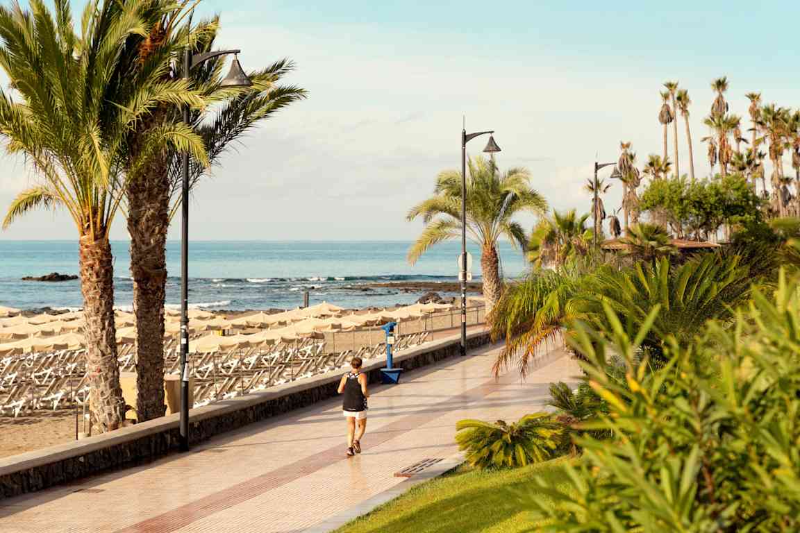 En strandpromenade med palmer og hav i bakgrunnen. (AI-generert tekst)