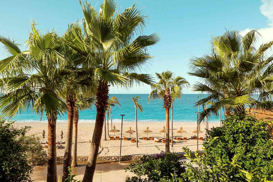 Strand med palmer i forgrunnen og havet i bakgrunnen. (AI-generert tekst)