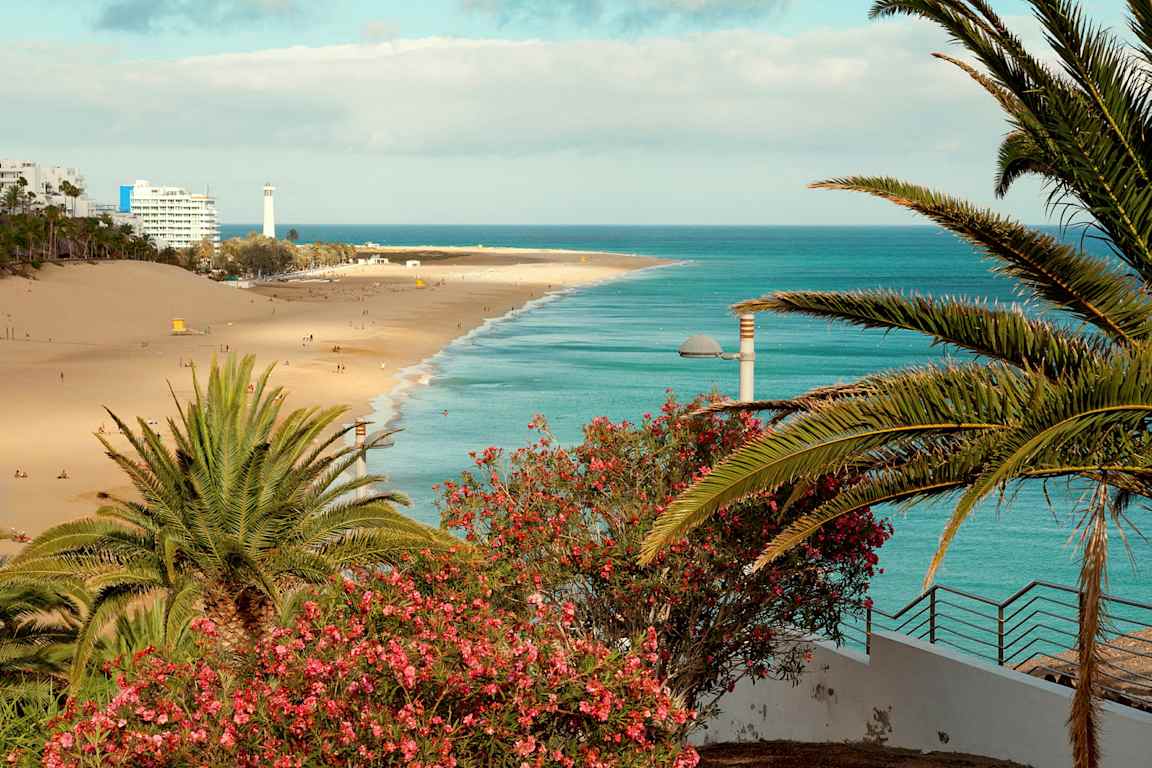 Strand med gyllen sand, palmer og rosa blomster i forgrunnen, samt turkist vann i bakgrunnen. (AI-generert tekst)