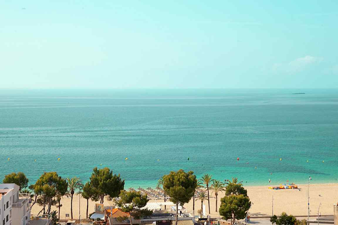 Utsikt over en strand med sand, trær og hav. (AI-generert tekst)