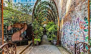 En gate med en overbygd gang og planter samt en mursteinvegg merket med graffiti. (AI-generert tekst)