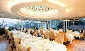 En elegant restaurant med oppdekkede bord og gyldne polstrede stoler. Et stort vindu gir utsikt over en by med trær og bygninger. (AI-generert tekst)
