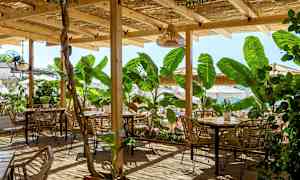 Terrasse med rottingmøbler og planter under tak nær stranden. (AI-generert tekst)