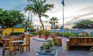 Et utendørsmiljø med bord og stoler samt palmer og annen beplantning. (AI-generert tekst)