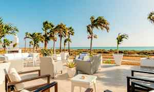 En terrasse med sitteplasser, palmer og utsikt over havet. (AI-generert tekst)
