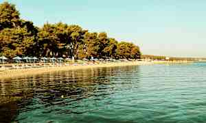 Strand med solsenger og parasoller ved vannkanten, med trær i bakgrunnen. (AI-generert tekst)