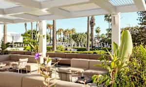 Utendørs lounge med sittemøbler i en hage omgitt av palmer. (AI-generert tekst)