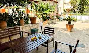 En uteplass med hagemøbler, potteplanter og grønne banantrær. (AI-generert tekst)