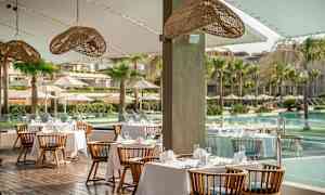 Utendørs servering med dekkede bord og trestoler ved et basseng, med palmer i bakgrunnen. (AI-generert tekst)