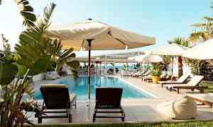 Et basseng omgitt av solsenger, parasoller og grønne planter. I bakgrunnen sees havet og en bygning. (AI-generert tekst)