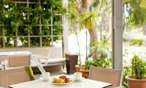 Et bord med to kaffekopper og et fat med bakverk på en uterrasse med grønne planter. (AI-generert tekst)