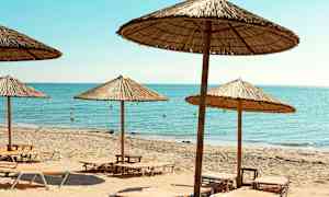 Strand med solsenger og parasoller ved sjøen. (AI-generert tekst)