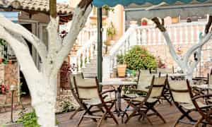 Uteservering med bord og stoler omgitt av hvite trær og planter. (AI-generert tekst)