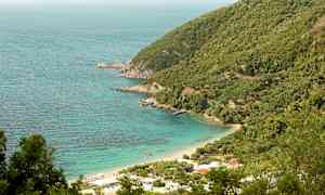 En kystlinje med frodige klipper og en strand ved turkis vann. (AI-generert tekst)