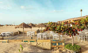 Uteservering med bord og stoler på sandgrunn, omgitt av palmetak og vegetasjon ved stranden. (AI-generert tekst)