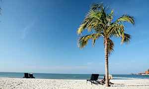 En sandstrand med en palme og noen strandstoler. (AI-generert tekst)