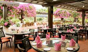 En utendørs restaurant med bord og stoler under en pergola dekorert med rosa blomster. (AI-generert tekst)