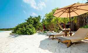 Solstoler på en sandstrand med parasoll og grønne planter. (AI-generert tekst)