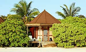 En strandnær hytte omgitt av frodig vegetasjon med palmer. (AI-generert tekst)