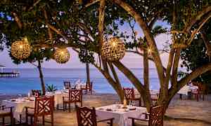 En utendørsrestaurant med spisebord under trær med lanterner, ved sjøen. (AI-generert tekst)