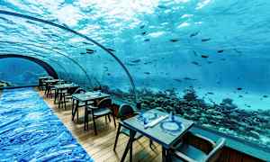 Undervannsområde med en restaurant hvor bord og stoler er plassert foran et stort, buet vindu med utsikt mot havet og fisk. (AI-generert tekst)