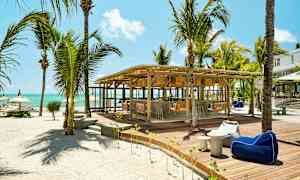 En strandbar med palmer og sitteplasser på en treplattform. (AI-generert tekst)