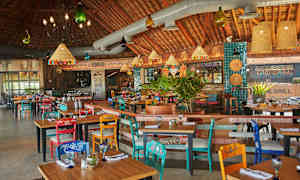 Interiøret i en restaurant med fargerike stoler og bord, hengende lamper og plantepynt. (AI-generert tekst)