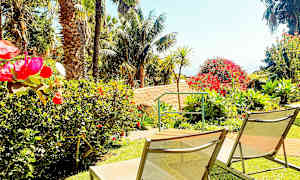 Solstoler på en gressplen omgitt av fargerike blomster og palmer. (AI-generert tekst)