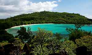 En frodig kystlinje ved et turkisblått hav. (AI-generert tekst)