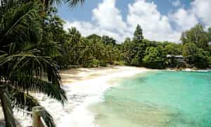 En sandstrand med turkis vann og grønne palmer. (AI-generert tekst)