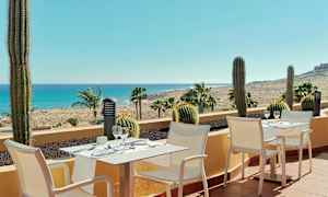 En terrasse med hvite stoler og små bord, dekorert med kaktuser og utsikt over palmer, sand og hav. (AI-generert tekst)