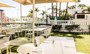 Et uteområde med oppstilte bord og stoler på en gressflate, omgitt av palmer og busker. (AI-generert tekst)