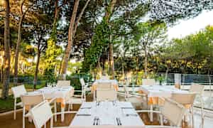 Et utendørsområde med bord og stoler under høye trær, dekket for middag. (AI-generert tekst)