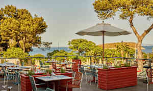 En terrasse restaurant med utsikt over havet og furuskog. (AI-generert tekst)