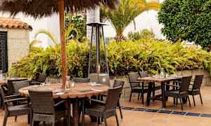 Utendørs sittegrupper med trebord og rottingstoler foran en plantekledt bakgrunn. (AI-generert tekst)