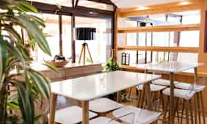 Lyst og moderne kafé med bord og stoler av tre. Plante i forgrunnen. (AI-generert tekst)