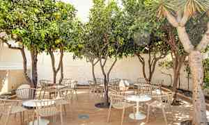 Utemøbler under trær i en utendørs setting. (AI-generert tekst)