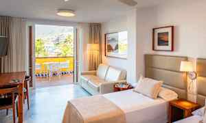 1-romsleilighet superior