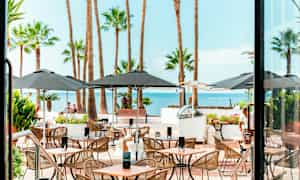Restaurantmiljø med uteservering, møbler og palmer med havutsikt. (AI-generert tekst)