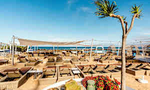 Utendørsområde med solsenger og parasoller nær sjøen. Kaktuser og blomster ses i forgrunnen. (AI-generert tekst)