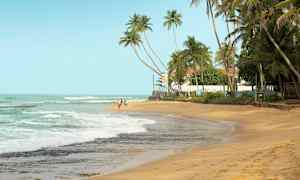 En sandstrand med palmer i bakgrunnen og havet som skyller inn over stranden. (AI-generert tekst)