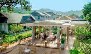 Utendørs servering med kurvmøbler og frodige omgivelser. (AI-generert tekst)