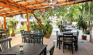 Utendørs område med tremøbler og planter ved et basseng. (AI-generert tekst)