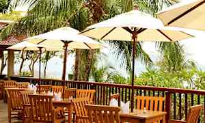 Utendørs servering med trebord og stoler samt store parasoller, omgitt av palmer. (AI-generert tekst)